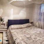 Rent 2 bedroom apartment of 40 m² in Silvi