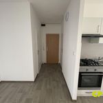 Pronajměte si 3 ložnic/e byt o rozloze 69 m² v Litvínov