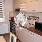 Rent 1 bedroom apartment of 35 m² in Debrecen