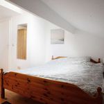 Rent 2 bedroom apartment of 100 m² in Brussel