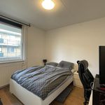 Huur 2 slaapkamer appartement van 54 m² in Arnhem