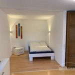 Miete 1 Schlafzimmer wohnung von 54 m² in Koblenz