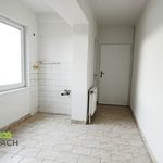 Rent 3 bedroom apartment of 72 m² in Náchod