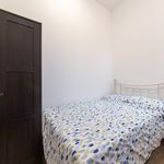 Rent 4 bedroom apartment in Worcester