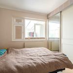 Rent 4 bedroom house in Brighton