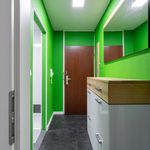 Rent 1 bedroom apartment of 42 m² in Augsburg