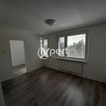 Rent 1 bedroom apartment of 29 m² in Zichovec