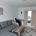 Rent 1 bedroom apartment of 35 m² in Neu-Isenburg