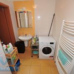 Rent 1 bedroom apartment of 35 m² in Rousínov