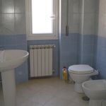 Rent 3 bedroom apartment of 105 m² in Monte Compatri