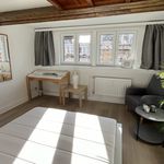 Rent 1 bedroom house of 40 m² in Ixelles