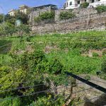Rent 1 bedroom apartment of 45 m² in Rapallo