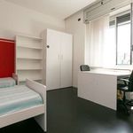 Rent a room of 98 m² in Milano