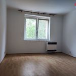 Rent 1 bedroom apartment of 39 m² in Ostrava