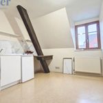 Rent 2 bedroom apartment of 61 m² in Saverne