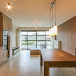 Rent 2 bedroom apartment of 78 m² in Westerlo