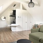Rent 1 bedroom apartment of 70 m² in Rotterdam