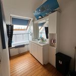 Rent 3 bedroom house of 550 m² in Ternat