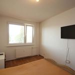 Rent 2 bedroom apartment of 49 m² in Březno