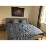Rent 2 bedroom apartment of 100 m² in Vorst