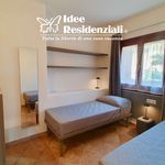 Rent 2 bedroom apartment of 50 m² in Olbia