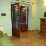 Rent 2 bedroom apartment of 40 m² in Siena