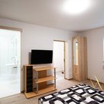 Pronajměte si 1 ložnic/e byt o rozloze 40 m² v Zruč-Senec