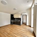 Rent 1 bedroom apartment of 34 m² in Praha