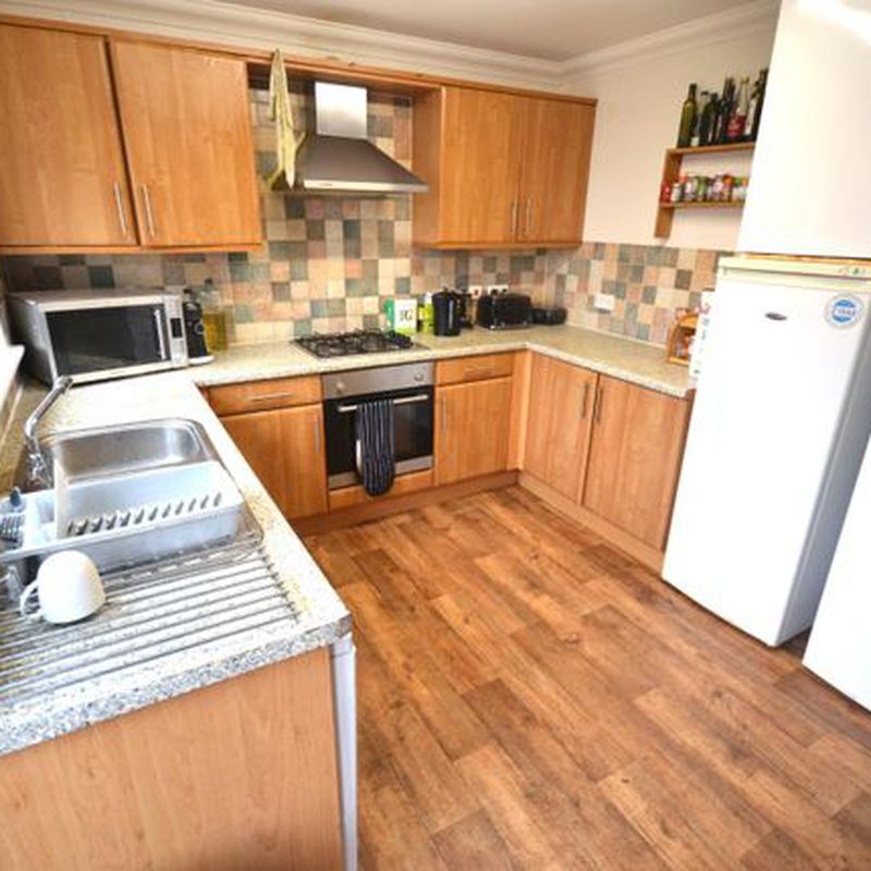 Semi-detached house to rent in Danes Road, Exeter EX4