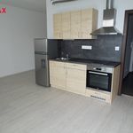 Rent 1 bedroom apartment of 43 m² in Pardubice