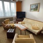 Pronajměte si 1 ložnic/e byt o rozloze 35 m² v Staré Sedliště