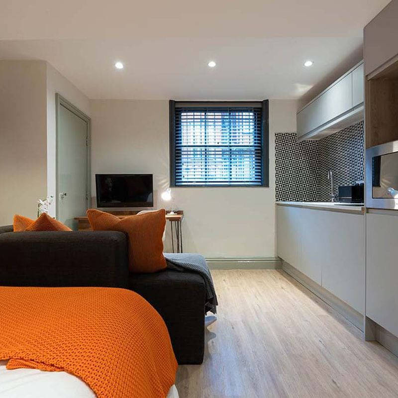 1 Bedroom Apartment, 1A Rodney Street, Liverpool L1 9ED (Flat 3)