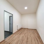 Rent 1 bedroom apartment of 59 m² in Hlucin