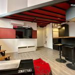 Appartement de 35 m² avec 1 chambre(s) en location à Lyon