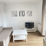 Wynajmij 1 sypialnię apartament z 28 m² w Poznań
