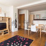 Rent 1 bedroom apartment of 42 m² in Paris