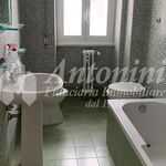 Rent 1 bedroom apartment of 80 m² in Roma
