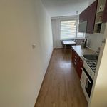 Rent 1 bedroom apartment in Třebíč