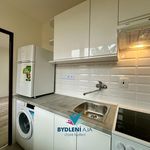 Rent 1 bedroom apartment of 27 m² in Bílina