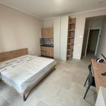 Rent 1 bedroom apartment of 30 m² in Benevento
