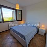 Rent 2 bedroom apartment of 40 m² in Potenza Picena