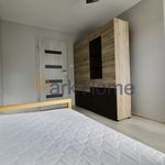 Rent 2 bedroom apartment of 50 m² in Zielona Góra