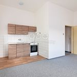 Rent 1 bedroom apartment of 27 m² in Děčín