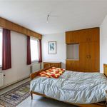 Huur 7 slaapkamer huis van 2560 m² in Meerhout