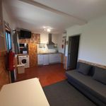 Rent 1 bedroom house of 50 m² in Amarante