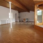 Affitto 4 camera appartamento di 180 m² in Bolzano