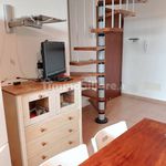 Rent 3 bedroom apartment of 50 m² in Rosignano Marittimo