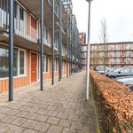 Rent 3 bedroom apartment of 82 m² in Hellevoetsluis