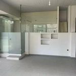 Rent 1 bedroom house of 149 m² in Kentro