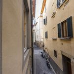 Affitto 1 camera appartamento di 30 m² in Firenze